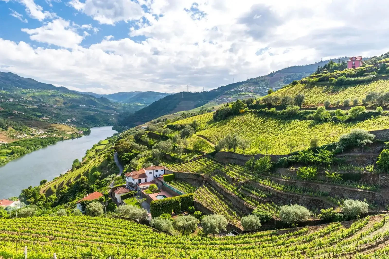 Terraced vineyards above the river in Portugal’s Douro Valley
